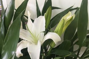 NSƯT Hoàng Chè (giữa) biểu diễn cùng NSND Doãn Tần và NSƯT Quang Huy.
